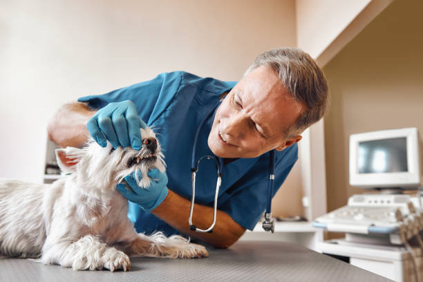 Best Broken Tooth Emergency  in Fort Mckinley, OH